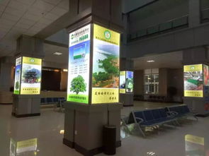 青海西寧雄盛燈箱廠 以品質(zhì)與誠信點(diǎn)亮旅游服務(wù)新篇章