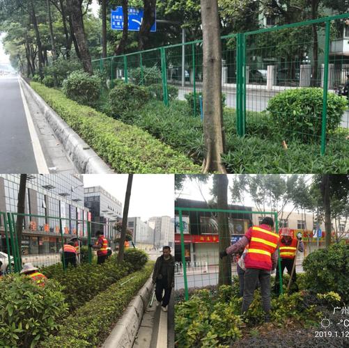 白云區城市管理局關于道路綠化管理工作的情況周報（2018年1月7日-2018年1月13日）