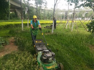 市園林局城市綠化養護管理處5月24日工作動態簡報
