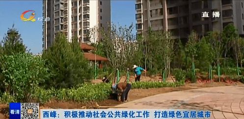 西峰區 積極推動社會公共綠化工作，全力打造綠色宜居城市